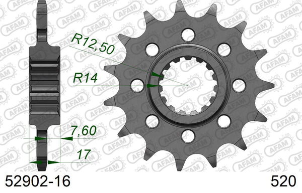 Pignone AFAM 52902-16 passo 520