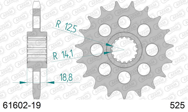Pignone AFAM 61602-19 passo 525