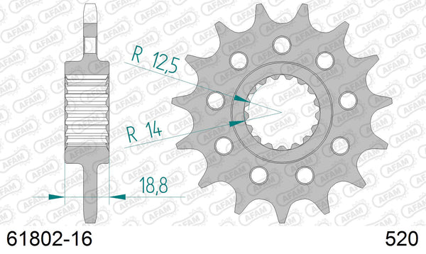 Pignone AFAM 61802-16 passo 520