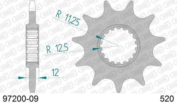 Pignone AFAM 97200-09 passo 520