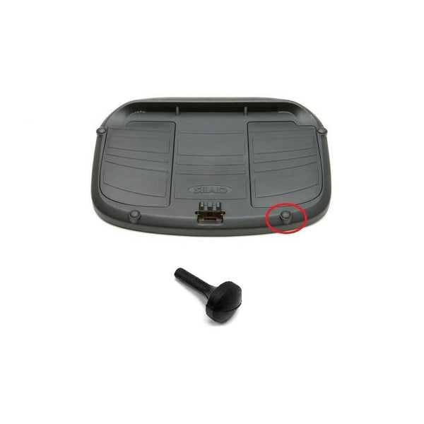 Tampone in Gomma per Piastra (1pz)