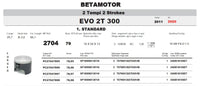 Pistone Sherco ST-R 300  - Anni 2011/2022 METEOR