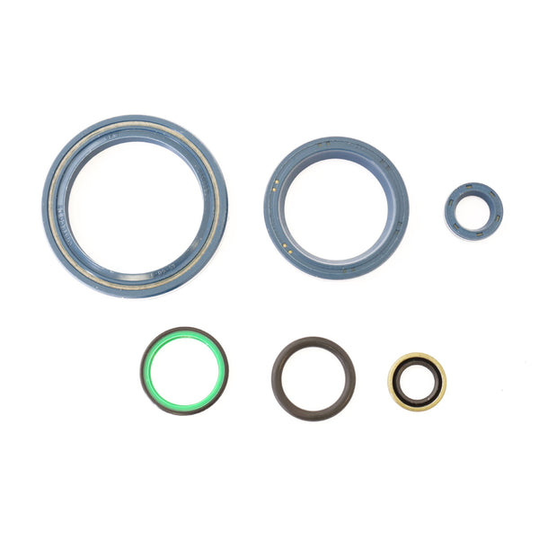 Serie Paraolio Motore DUCATI  1000  1000