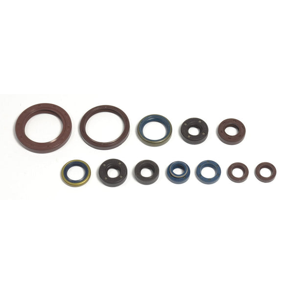 Serie Paraolio Motore compatibile per APRILIA RXV  550 from 1-2006 - to 12-2011