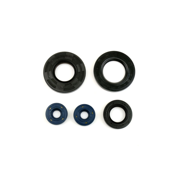 Serie Paraolio Motore APRILIA  LEONARDO  125